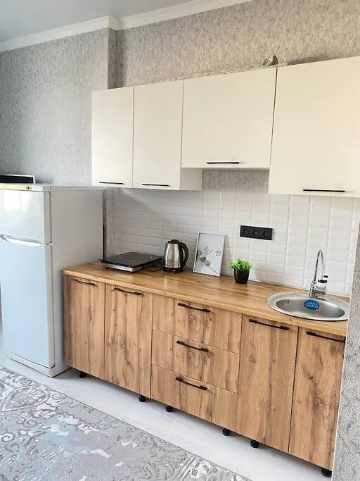 Комфортная Кухня-Студия В Жк Еламан Almaty Apartment